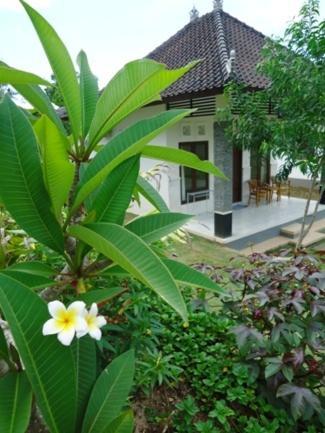 Bingin Family Bungalow อูลูวาตู ภายนอก รูปภาพ